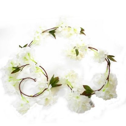 Picture of 6ft LARGE BLOSSOM GARLAND IVORY