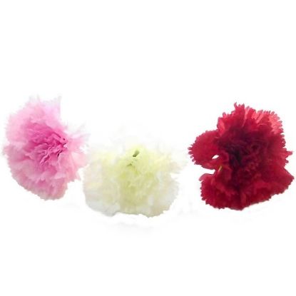 Picture of 8-9cm CARNATION FLOWER HEAD RED X 100pcs