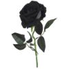 Picture of 52cm SINGLE LARGE VELVET TOUCH OPEN ROSE BLACK