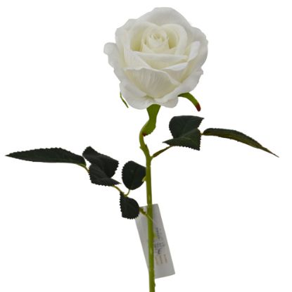Picture of 52cm SINGLE LARGE VELVET TOUCH OPEN ROSE IVORY
