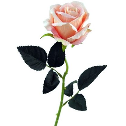 Picture of 52cm SINGLE LARGE VELVET TOUCH OPEN ROSE PEACH