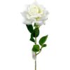 Picture of 50cm SINGLE VELVET TOUCH LARGE OPEN ROSE IVORY