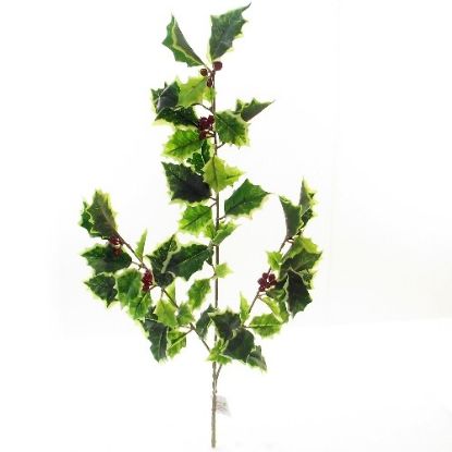Picture of 51cm HOLLY SPRAY WITH BERRIES VARIEGATED