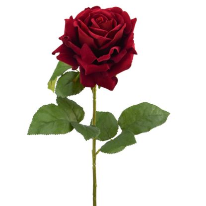Picture of 74cm LUXURY LARGE SINGLE VELVET TOUCH OPEN ROSE RED