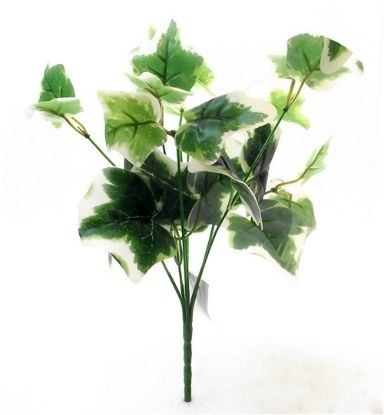 Picture of 33cm IVY BUSH VARIEGATED