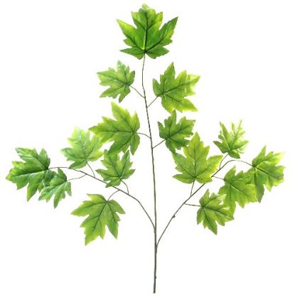 Picture of 70cm LARGE MAPLE LEAF SPRAY (15 LEAVES) GREEN X 12pcs