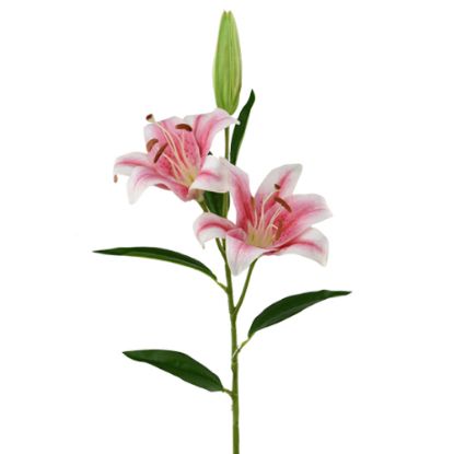 Picture of 85cm LARGE TIGER LILY SPRAY PINK