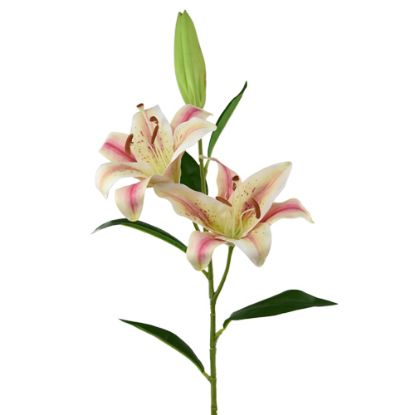 Picture of 85cm LARGE TIGER LILY SPRAY BLUSH PINK