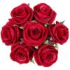 Picture of 30cm VELVET TOUCH ROSE BUNDLE (7 STEMS) RED