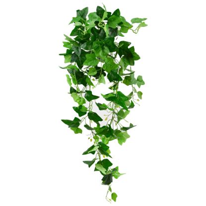 Picture of LARGE TRAILING IVY BUSH GREEN