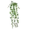 Picture of 90cm IVY TRAIL VARIEGATED