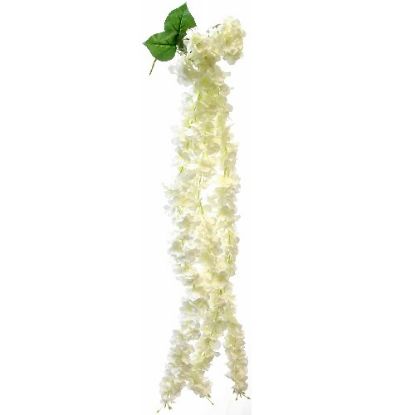 Picture of HYDRANGEA TRAILING BUSH IVORY