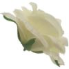Picture of SINGLE ROSE FLOWER HEAD IVORY X 48pcs