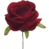 Picture of 27cm SINGLE OPEN ROSE RED 
