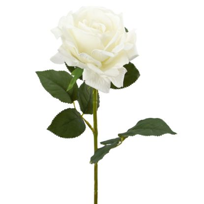 Picture of 74cm LUXURY LARGE SINGLE VELVET TOUCH OPEN ROSE IVORY