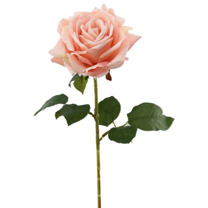 Picture of 74cm LUXURY LARGE SINGLE VELVET TOUCH OPEN ROSE PEACH