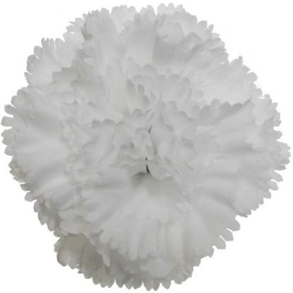 Picture of 8-9cm CARNATION FLOWER HEAD WHITE X 100pcs