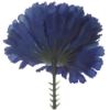 Picture of CARNATION PICK ROYAL BLUE X 144pcs (IN POLYBAG)