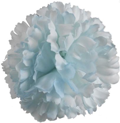 Picture of CARNATION PICK BABY BLUE X 144pcs (IN POLYBAG)