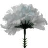 Picture of CARNATION PICK BABY BLUE X 144pcs (IN POLYBAG)