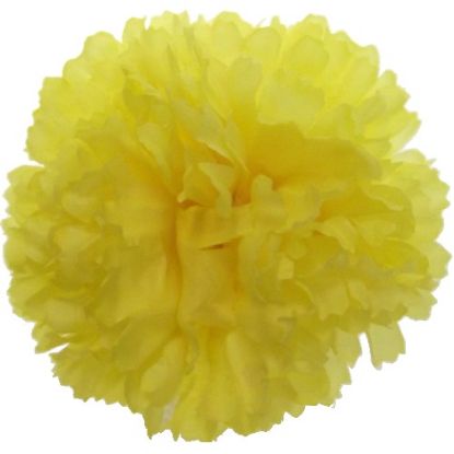 Picture of CARNATION PICK YELLOW X 144pcs (IN POLYBAG)