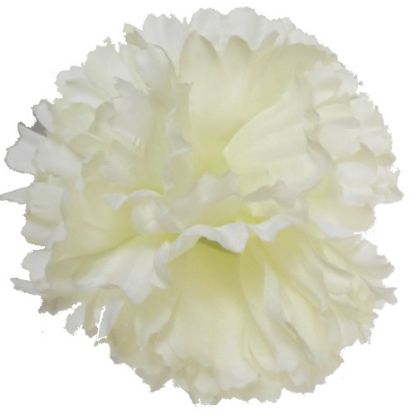 Picture of CARNATION PICK IVORY X 144pcs (IN POLYBAG)