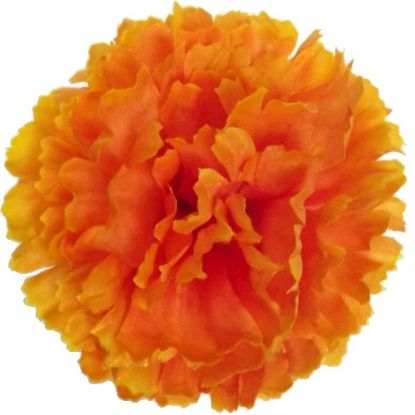 Picture of CARNATION PICK ORANGE X 144pcs (IN POLYBAG)