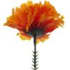 Picture of CARNATION PICK ORANGE X 144pcs (IN POLYBAG)