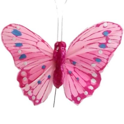 Picture of 7cm FEATHER BUTTERFLY ON 20cm WIRE PINK X 12pcs