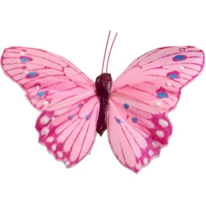 Picture of 10cm FEATHER BUTTERFLY ON 20cm WIRE PINK X 12pcs