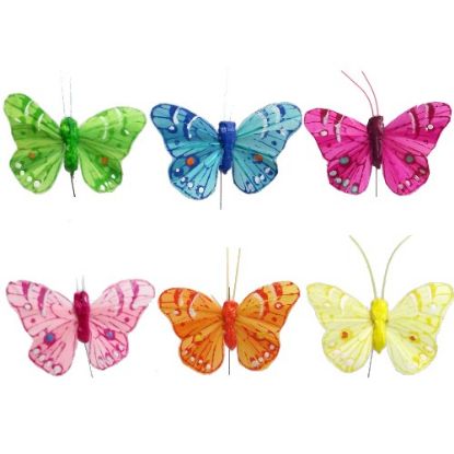 Picture of 6cm FEATHER BUTTERFLY ON 20cm WIRE ASSORTED X 12pcs