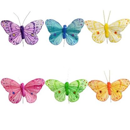 Picture of 8cm FEATHER BUTTERFLY ON 20cm WIRE ASSORTED X 12pcs