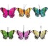 Picture of 7cm TROPICAL FEATHER BUTTERFLY ON 20cm WIRE ASSORTED X 12pcs