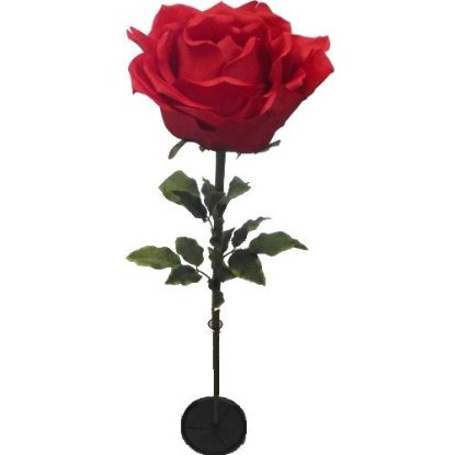 Picture of 136cm XL GIANT SINGLE ROSE RED