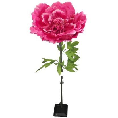 Picture of 125cm GIANT SINGLE PEONY HOT PINK