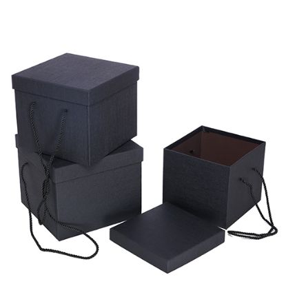 Picture of SET OF 3 SQUARE FLOWER BOX BLACK