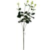 Picture of 59cm EUCALYPTUS SPRAY FROSTED GREEN