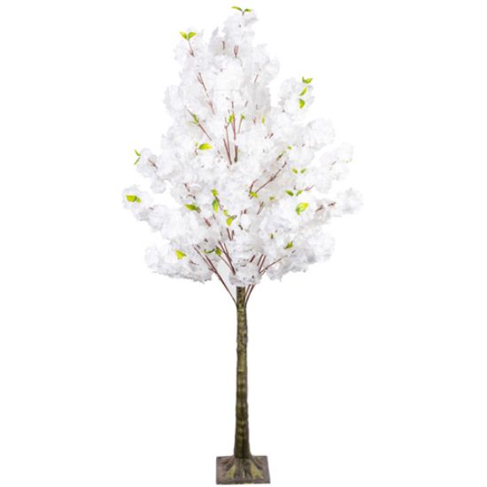 Picture of 180cm ARTIFICIAL BLOSSOM TREE WITH 520 FLOWERS WHITE X 2pcs
