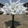 Picture of 200cm DELUXE ARTIFICIAL BLOSSOM TREE WITH 2916 FLOWERS WHITE X 2pcs