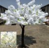 Picture of 200cm DELUXE ARTIFICIAL BLOSSOM TREE WITH 2916 FLOWERS IVORY X 2pcs