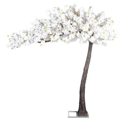 Picture of 320cm DELUXE ARTIFICIAL CANOPY STYLE BLOSSOM TREE WITH 5184 FLOWERS WHITE