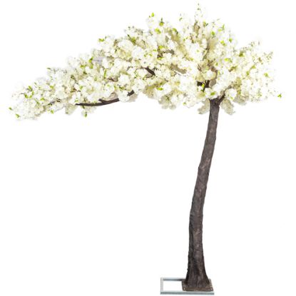 Picture of 320cm DELUXE ARTIFICIAL CANOPY STYLE BLOSSOM TREE WITH 5184 FLOWERS IVORY