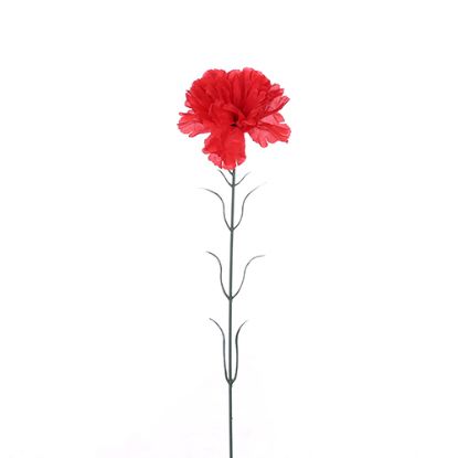 Picture of SINGLE CARNATION RED X 72pcs