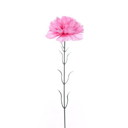 Picture of SINGLE CARNATION LIGHT PINK X 72pcs
