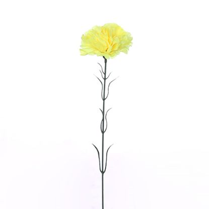 Picture of SINGLE CARNATION YELLOW X 72pcs