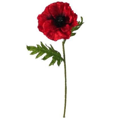 Picture of 57cm SINGLE POPPY RED