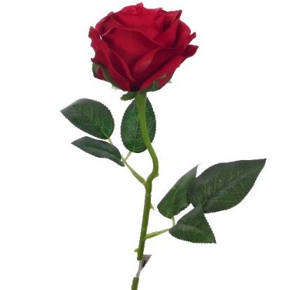 Picture of 51cm SINGLE OPEN ROSE RED