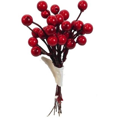 Picture of BERRY BUNDLE RED