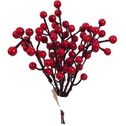 Picture of BERRY BUNDLE RED