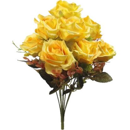 Picture of ROSE BUSH YELLOW